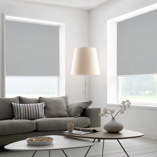 Blackout Shades,Sunscreen Roller Blinds,Cordless Window Blinds,Thermal Insulated,Light-Filtering roll up Shade,Waterproof Curtains - Image 5
